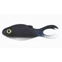 3.5 WARMOUTH / BABY BULL HEAD 4PK - Gsm