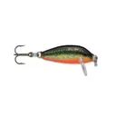 RAPALA COUNTDOWN 01 RAINBOW TROUT - Stky