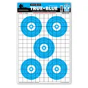 Thompson Target True Blue 12.5x19 Paper Targets 10 Pack - Thompson Target