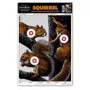 Thompson Target Life-Size Squirrel 12.5x19 Paper Targets 10 Pack - Thompson Target