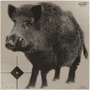 INFRARED-ID BOARNZERO   THERM TARGT BOAR+ZERO 1+50 - Infrared_Id