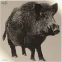 INFRARED-ID RBOARL1     THERM BOAR TARGT - Infrared_Id