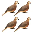 ZINK ZNK-DOVE-4PK FULL BODY DOVE 4PK - Avian