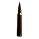 ATOMIC 00497 223REM      77  SUB-20          20/10 - Atomic Ammo