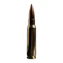 ATOMIC 00498 308WIN      175 HPBT-SUB-20     20/10 - Atomic Ammo