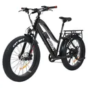 Bakcou E-bikes BFST24BB21 Flatlander ST 24 Matte Black 18 in w/Stand Over Height of 26 in Frame, Shimano Alivio Hill-Climbing 9 Speed Bafang 750W High-End Rear Hub Motor, 25+ mph Speed - Bakcou