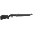 Benjamin 392S 392S Pump 22 Pellet Black Rec/Barrel Black Monte Carlo Stock - Benjamin Sheridan