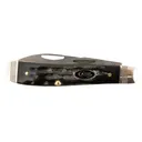 Case 65093 Trapper Mini 2.70 in/2.74 in Folding Clip/Wharncliffe Plain Stonewashed Satin S35VN SS Blade/Rough Black Jigged Buffalo Horn Handle - Case