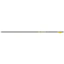 Gold Tip Hunter Pro Arrows 300 4 Fletch 6 pk HPRO300A2746 - Gold Tip