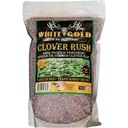 White Gold Clover Rush Seed 5 lb WGCR - White Gold