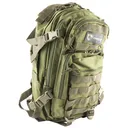 Drago Gear Scout Backpack, Green, 16 inx10 inx10 in, Green 14-305GR - Drago