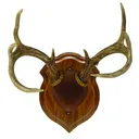 Walnut Hollow Deluxe Antler Display Kit Walnut 40756 - Walnut Hollow