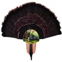Walnut Hollow Turkey Display Kit Spring Strut 40738 - Walnut Hollow
