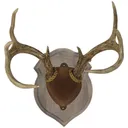 Walnut Hollow Deluxe Antler Display Kit Rustic 41142 - Walnut Hollow