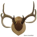 Walnut Hollow Antler Mounting Kit Solid Oak 38324 - Walnut Hollow