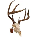 Walnut Hollow Euro Skull Mount Kit 41852 - Walnut Hollow