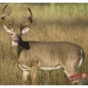 DuraMesh Archery Target Whitetail 4 25 in x 32 in DM222 - Duramesh