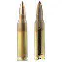 Radikal 556X45 Precision 5.56x45mm NATO 2000rds - Radikal