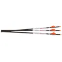 Ravin Crossbows R144 Lighted Arrows 500 Grain 100% Pure Carbon 3 Pack,Arrows & Bolts - Ravin Crossbows