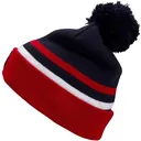 SWIX Blizzard Beanie - Swix