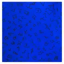 WYOMING TRADERS Brand Regular Silk Scarf - Wyoming Traders