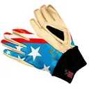 SWIX Unisex JD Stars Glove (H02200-19283) - Swix
