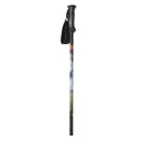 WHITEWOODS Powder Alpine Ski Poles (POWDER) - Whitewoods