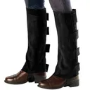 OVATION Ladies EZE Tab Suede Half Chaps (459397) - Ovation Riding