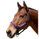 KENSINGTON Premium Nylon Breakaway Halter (KHSB) - Kensington Protective Products