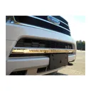 QAA 1-Piece Stainless Steel 1.25" Front Grille Accent Trim fits Ford Expedition 2015-2017 (SG55383) - Qaa