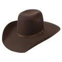 RESISTOL Hooey 4X Day Money Felt Chocolate Cowboy Hat (RWHODM-904222) - Resistol