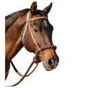 PROFESSIONAL'S CHOICE Oak Loping Hackamore (8168HL) - Professional's Choice