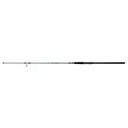 DAIWA TD Surf 11ft 2pc Spinning Rod (TDSUF1102MHFS) - Daiwa