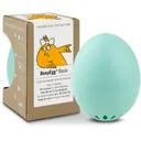BRAINSTREAM BeepEgg Basic Turquoise Singing Floating Egg Timer (A004566) - Brainstream