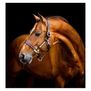HORSEWARE IRELAND Horseware Signature Leather Headcollar (DHHLM0) - Horseware Ireland