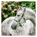 HORSEWARE IRELAND Horseware Signature Braided Headcollar (DHHMM0) - Horseware Ireland