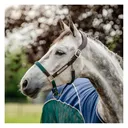 HORSEWARE IRELAND Horseware Signature Braided Headcollar (DHHMM0) - Horseware Ireland