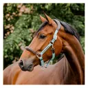 HORSEWARE IRELAND Horseware Signature Competition Headcollar (DHHMM1) - Horseware Ireland