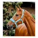 HORSEWARE IRELAND Signature Grooming Halter (DHHAM0) - Horseware Ireland