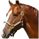 KENSINGTON Premium Nylon Breakaway Halter (KHSB) - Kensington Protective Products