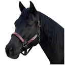 KENSINGTON Premium Nylon Breakaway Halter (KHSB) - Kensington Protective Products