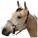 KENSINGTON Premium Nylon Breakaway Halter (KHSB) - Kensington Protective Products