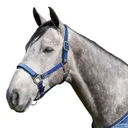 KENSINGTON PROTECTIVE PRODUCTS Premium Nylon Halter (KHS) - Kensington Protective Products