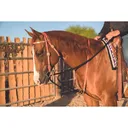 PROFESSIONAL'S CHOICE Black Draw Rope Martingale (AD8062HL) - Professional's Choice