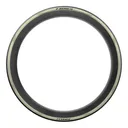 PIRELLI P Zero Race TLR RS Tire - Pirelli