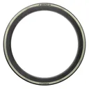 PIRELLI P Zero Race TLR RS Tire - Pirelli