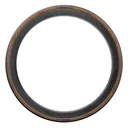 PIRELLI P Zero Race TLR RS Tire - Pirelli