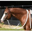 PROFESSIONAL'S CHOICE Ranch Heavy Oiled 5/8" Loping Hackamore with Mule Tape Reins (RH8167) - 