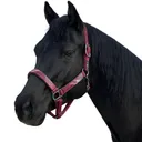 KENSINGTON Premium Nylon Breakaway Halter (KHSB) - Kensington Protective Products
