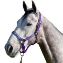 KENSINGTON Premium Nylon Breakaway Halter (KHSB) - Kensington Protective Products